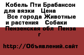 Кобель Пти Брабансон для вязки › Цена ­ 30 000 - Все города Животные и растения » Собаки   . Пензенская обл.,Пенза г.